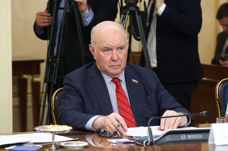 Сенатор Карасин: Выступаем за активизацию контактов с парламентариями Ирака