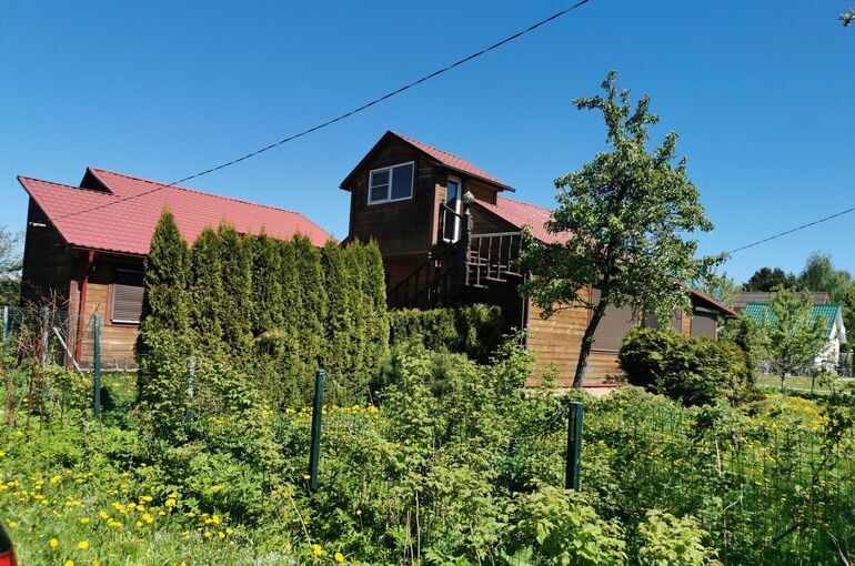 Дачникам напомнили об ответственности за выращивание запрещенных растений на участках