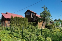 Дачникам напомнили об ответственности за выращивание запрещенных растений на участках