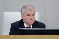 Володин: Законы в сфере миграционной политики показывают свою эффективность