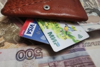 В России хотят протестировать получение льгот через карты «Мир»