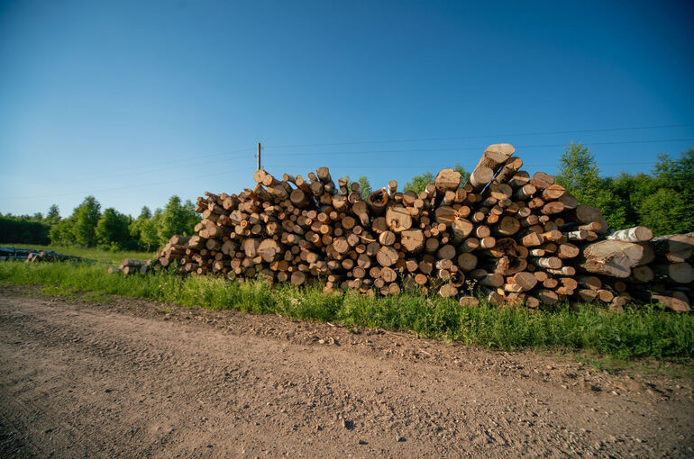 Незаконный вывоз леса зафиксирует дрон