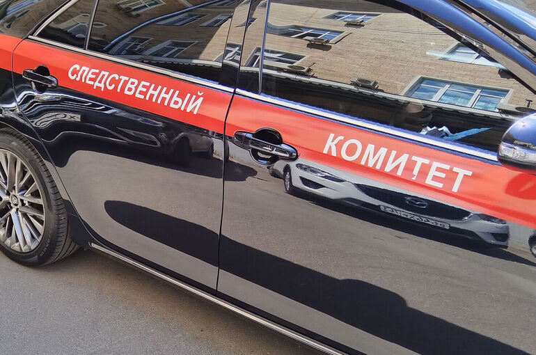 На Урале школьник выстрелил в голову однокласснице