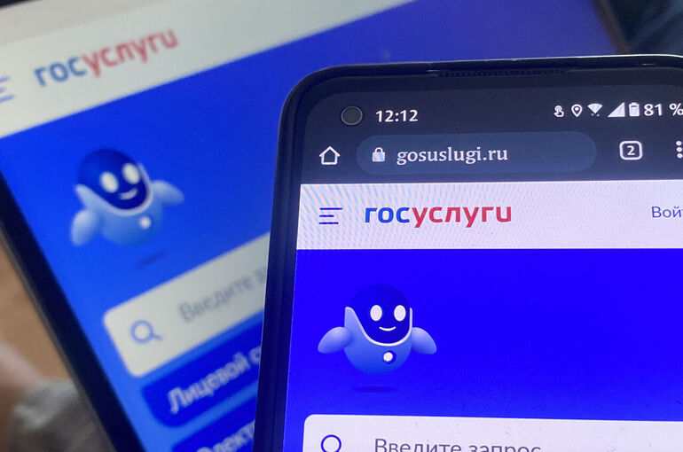 НКО смогут верифицировать свои страницы в соцсетях через «Госуслуги»