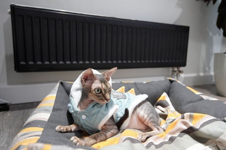 Что делать, если коммунальщики топят, как зимой