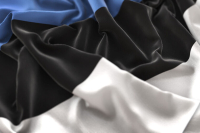 Глава МИД Эстонии передал Буданову* послание из-за инцидентов с дронами ВСУ