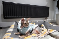 Что делать, если коммунальщики топят, как зимой