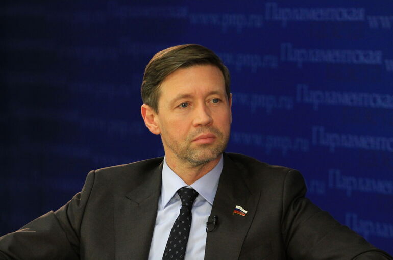 Сенатор Шейкин призвал провести донастройку системы маркировки звонков