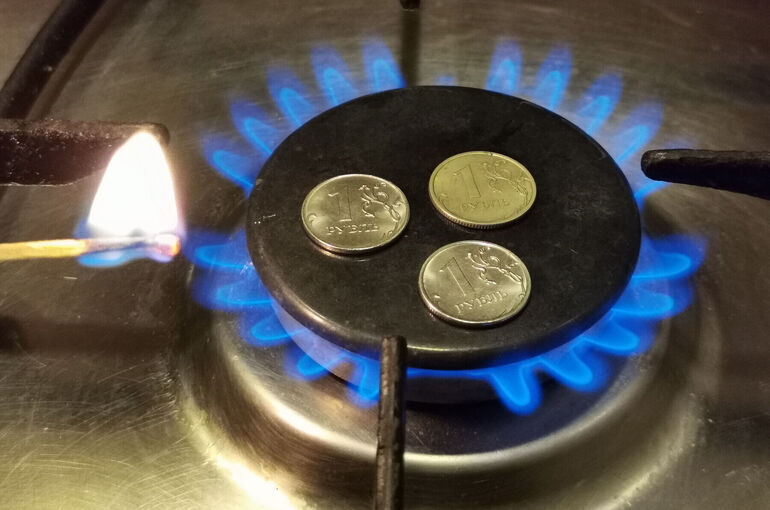 Депутат Кошелев рассказал, как отличить настоящего газовщика от мошенника