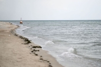 В Азовском море затонул сухогруз с пшеницей, есть погибший