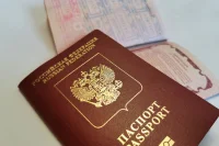 Депутат рассказал, как не стать жертвой мошенников при оформлении загранпаспорта