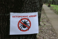 Биолог рассказал об опасности клещей рода хиаломма