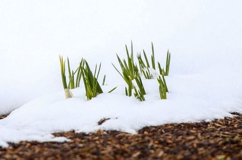 Синоптик предупредил о снегопаде в Москве к концу недели и похолодании до +3 градусов