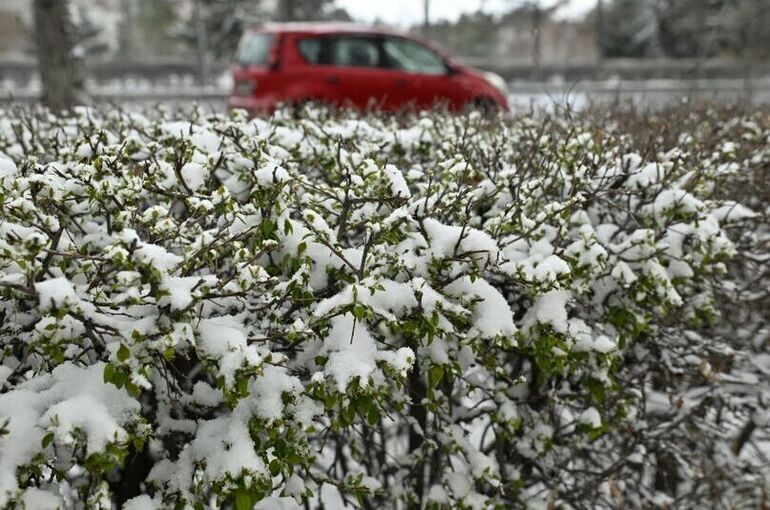 В Москве ближайшей ночью ожидается мокрый снег с дождем
