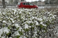 В Москве ближайшей ночью ожидается мокрый снег с дождем