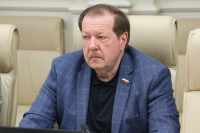 Сенатор назвал важным шагом введение трехуровневой системы оценки поведения школьников