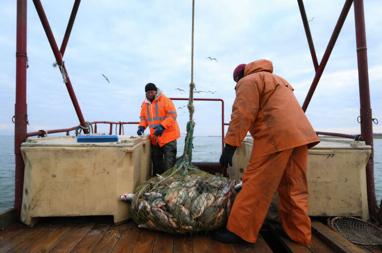 Рыбаков предложили освободить от присмотра ФСБ
