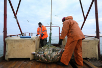 Рыбаков предложили освободить от присмотра ФСБ