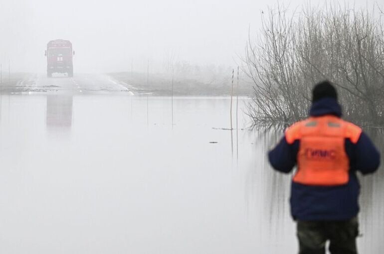 В Подмосковье подтоплены 193 приусадебных участка и два моста