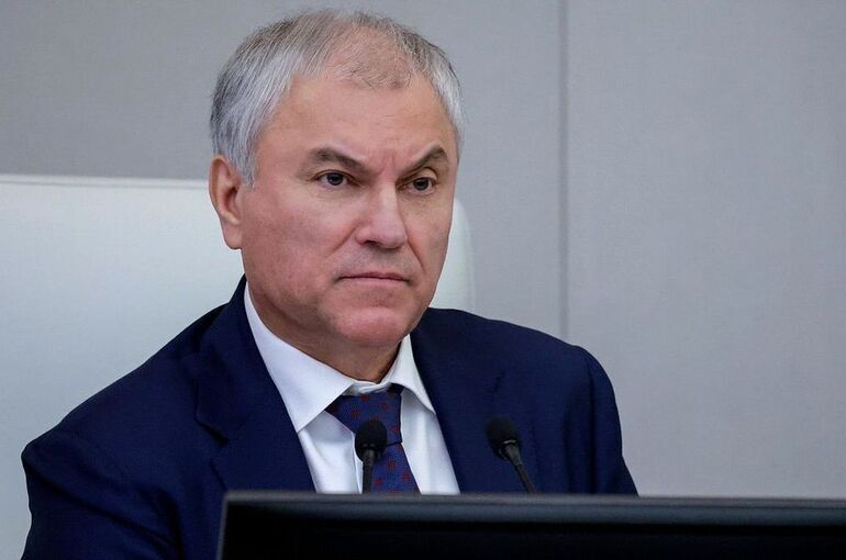 Володин: Количество оснований для выдворения мигрантов вырастет почти вдвое