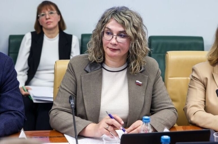 Сенатор: Работа по подготовке проекта модельного закона СНГ о платформенной занятости завершена