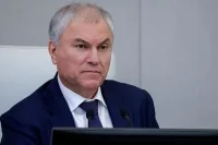 Володин: Участвовать в политике должны сильные люди