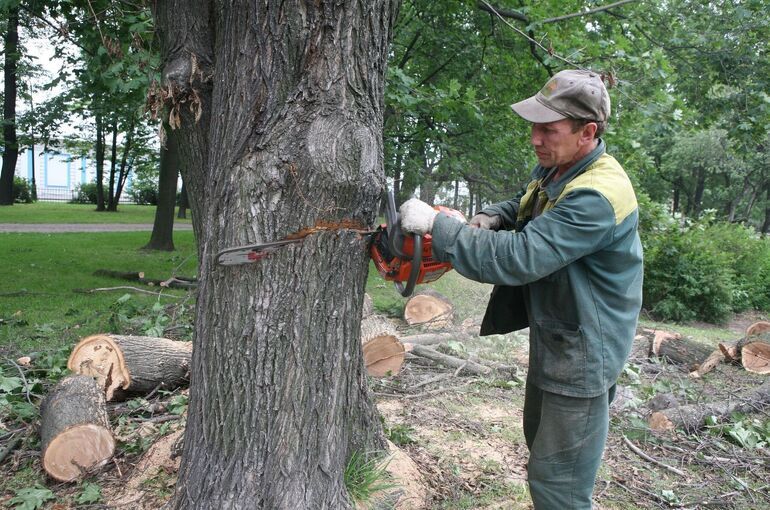 Жизнь и здоровье сотрудников лесной охраны предложили страховать