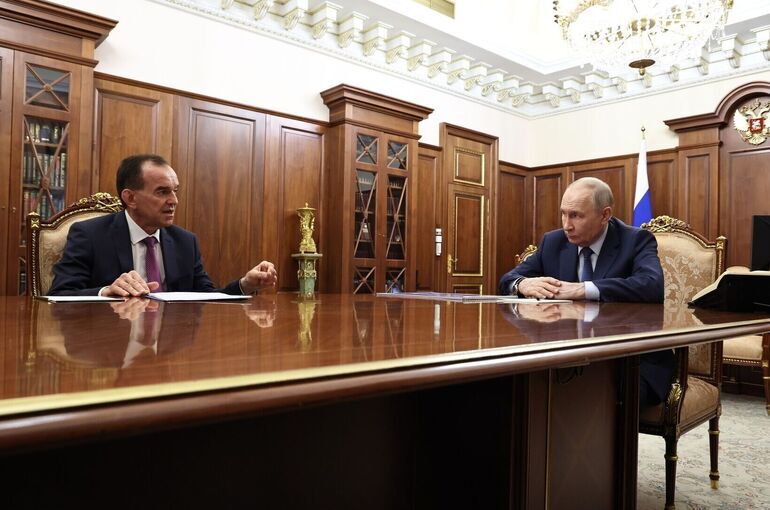 Кондратьев доложил Путину об увеличении числа виноградников на Кубани