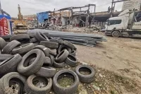 Россиян предупредили о штрафах за лебедей из покрышек