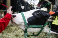 Совбез: Ближневосточный конфликт создает перспективы для агропроизводителей России