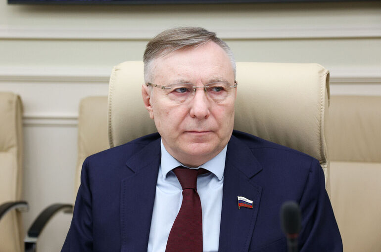 Сенатор Варфоломеев: Закон о молодежной политике нужно наполнить нормами прямого действия