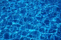 World Aquatics сняла санкции с российских и белорусских спортсменов