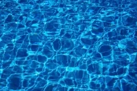 World Aquatics сняла санкции с российских и белорусских спортсменов