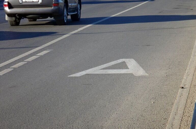 Депутат Нилов предложил разрешить инвалидам ездить по выделенной полосе