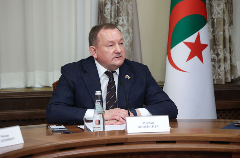 Сенатор Борщев пригласил алжирских коллег посетить с визитом Россию