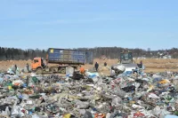 В России ликвидировали более 3 тысяч несанкционированных свалок
