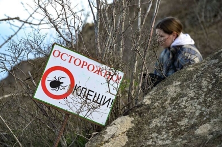 Кому обязательно нужно прививаться от клещевого энцефалита