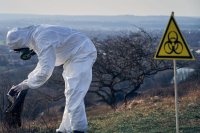 Роспотребнадзор: России не грозит распространение чумы