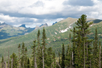 Депутаты Заксобрания Красноярского края подготовили предложения к федеральному законопроекту