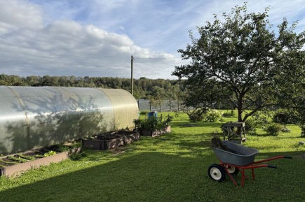 Лучше предупредить, чем спасать: как уберечь рассаду от заморозков