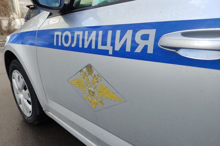 В России почти на 40% снизилось число преступлений мигрантов 