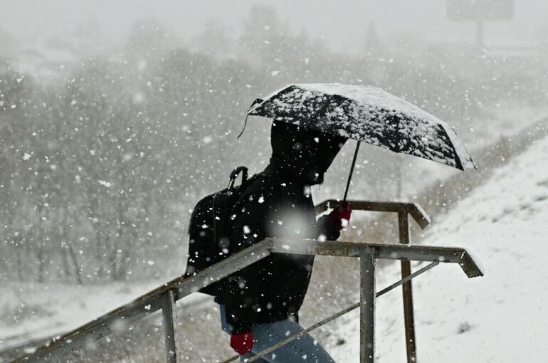 Резкое похолодание и мокрый снег накроют Москву в ближайшие выходные