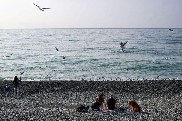 ТАСС: Самолет разведки США вновь совершил полет над Черным морем