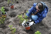 Парламентарии рассказали, как относятся к субботникам