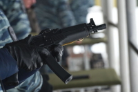 В Ставропольском крае предотвратили теракт с участием гражданки ФРГ