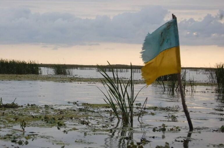 Военный эксперт рассказал о возможных шагах Киева после утраты контроля над ЛНР