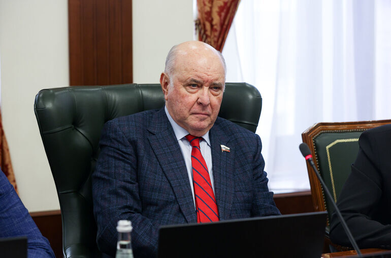 Сенатор Карасин назвал полезными встречи с независимыми европейскими политиками