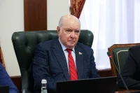 Сенатор Карасин назвал полезными встречи с независимыми европейскими политиками