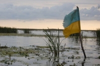 Военный эксперт рассказал о возможных шагах Киева после утраты контроля над ЛНР