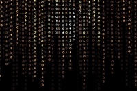 Профильный комитет Госдумы одобрил законопроект о штрафах за нелегальный майнинг